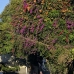 sanur_v_0045_bal4186.jpg